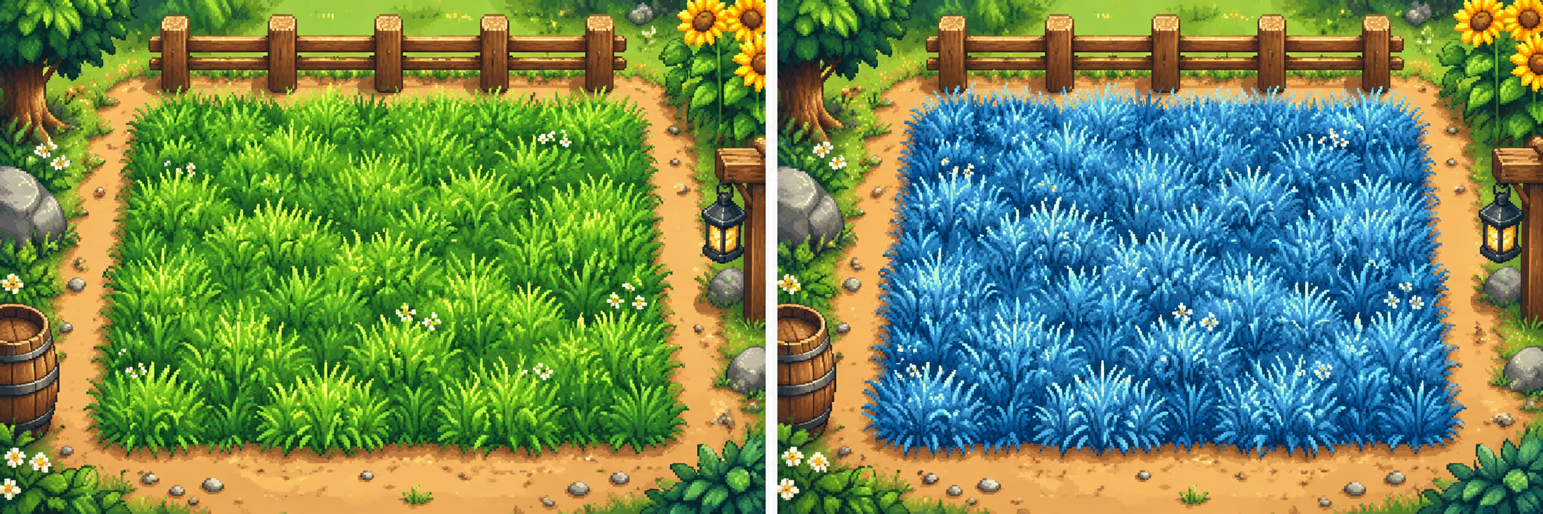 Blue grass growth illustration